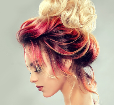 Certification de Spécialisation Coiffure Coupe Couleur